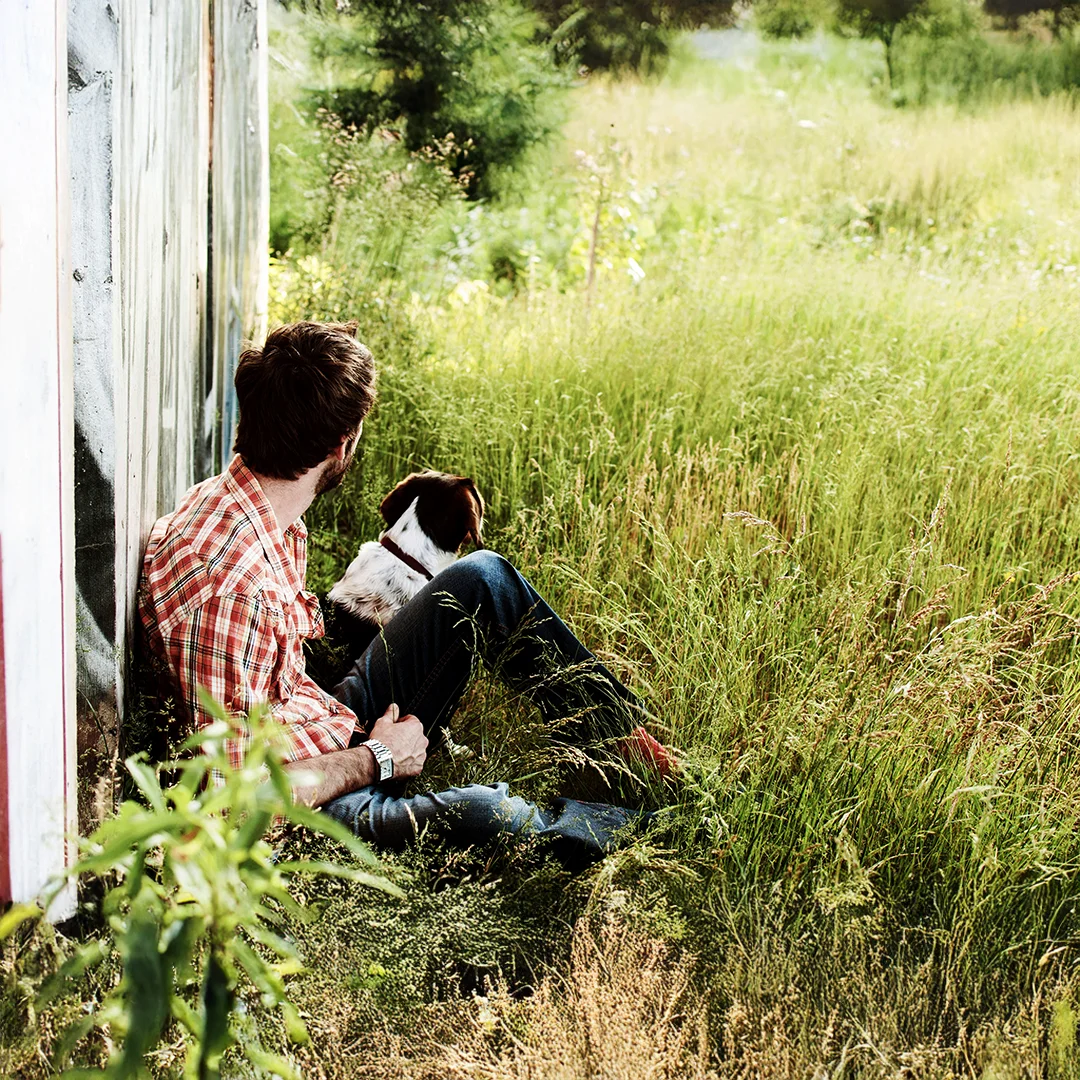 Man Sitting with Dog in Field-02 Man in plaid shirt sitting in tall grass beside a dog, both facing a sunny field.
