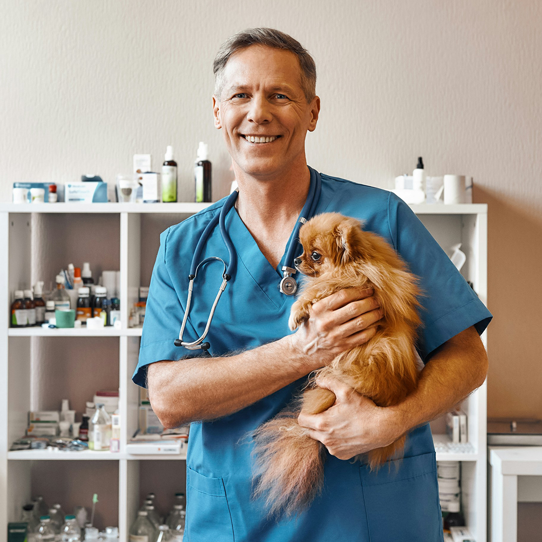 pet with doctor pet with doctor