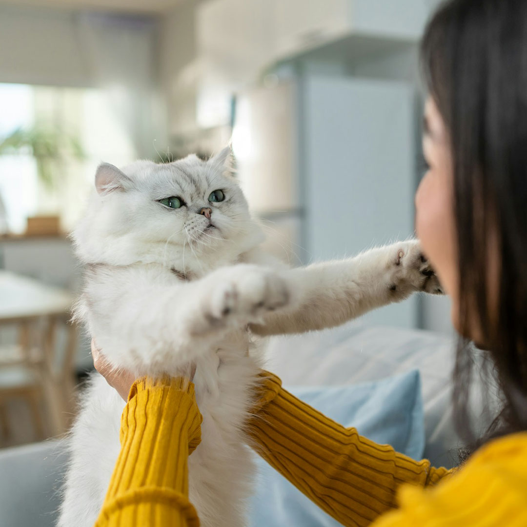 girl holding cat