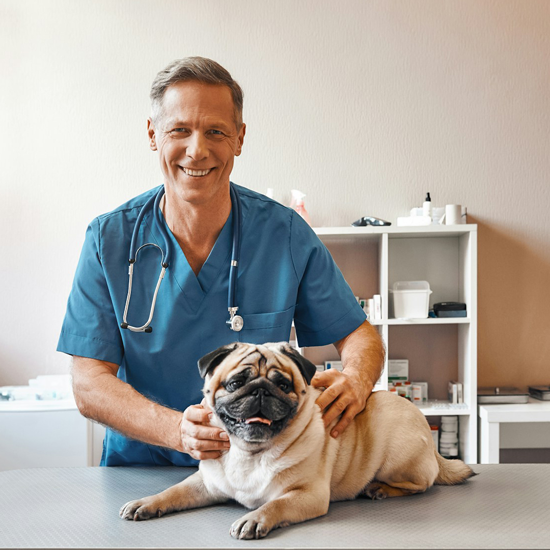 pet with doctor