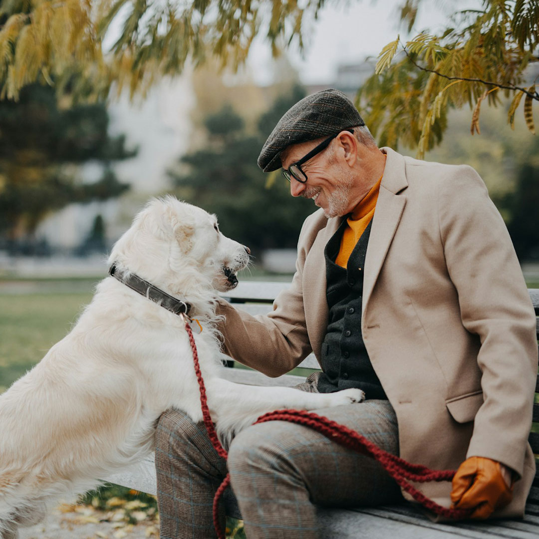 dog with older person