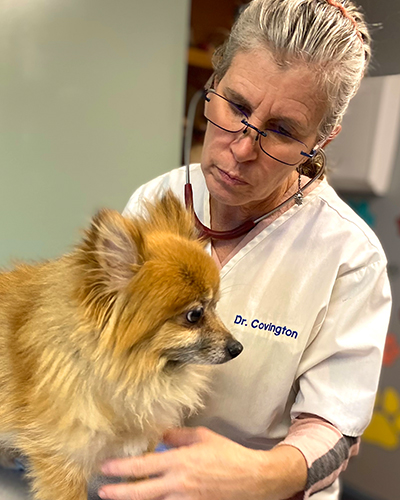 doctor with dog