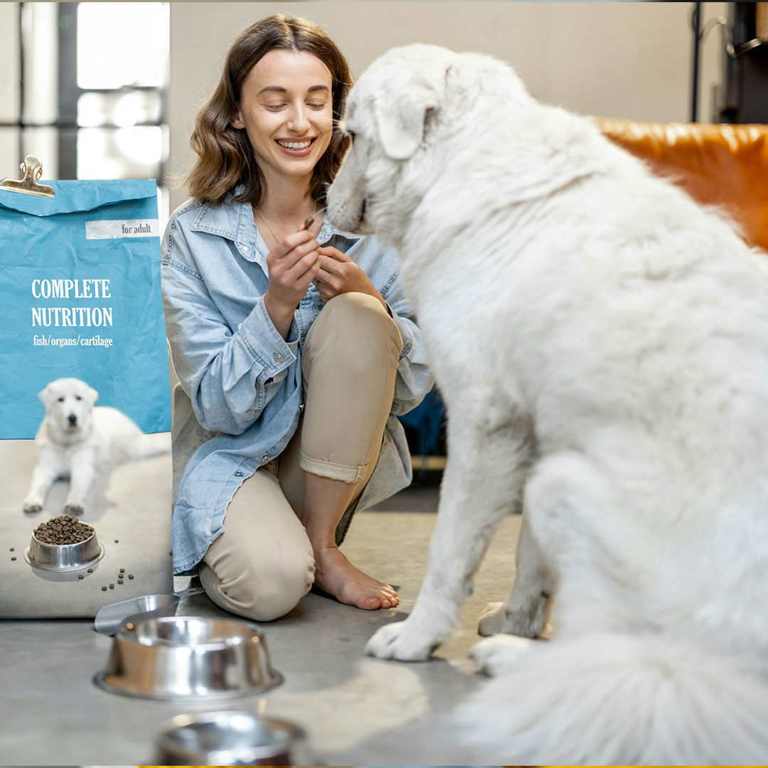 pet with doctor