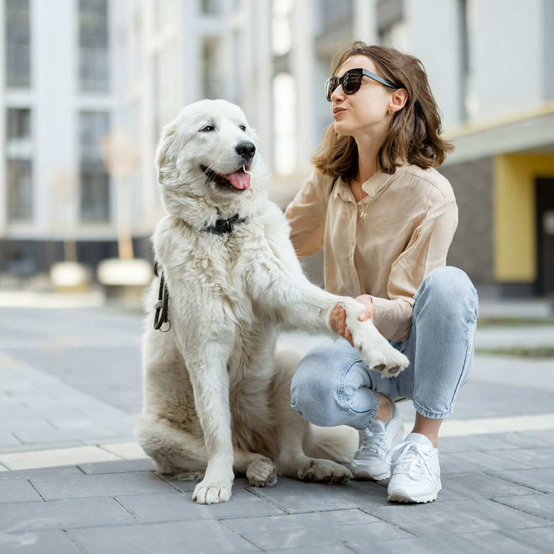 girl with dog in street