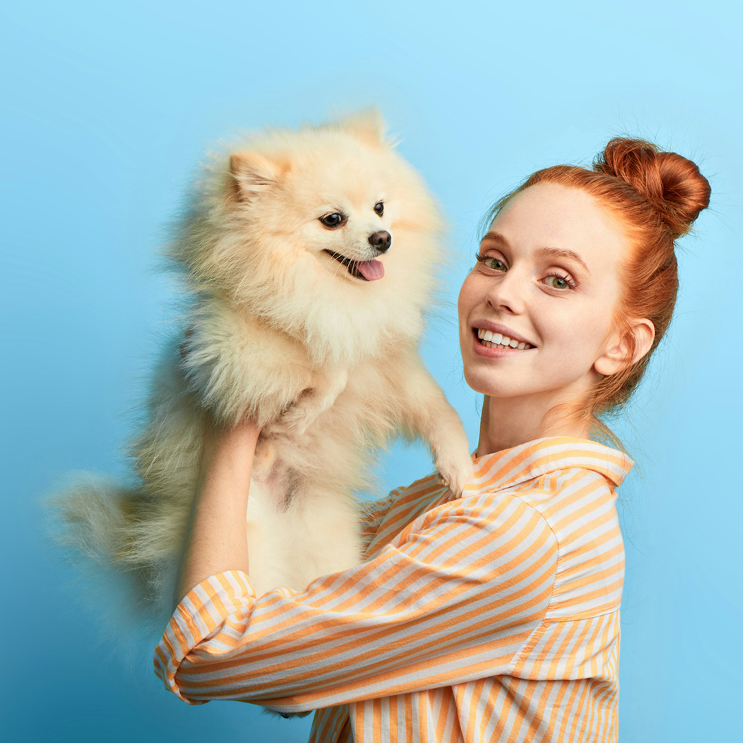 Woman holding a fluffy Pomeranian Woman holding a fluffy Pomeranian